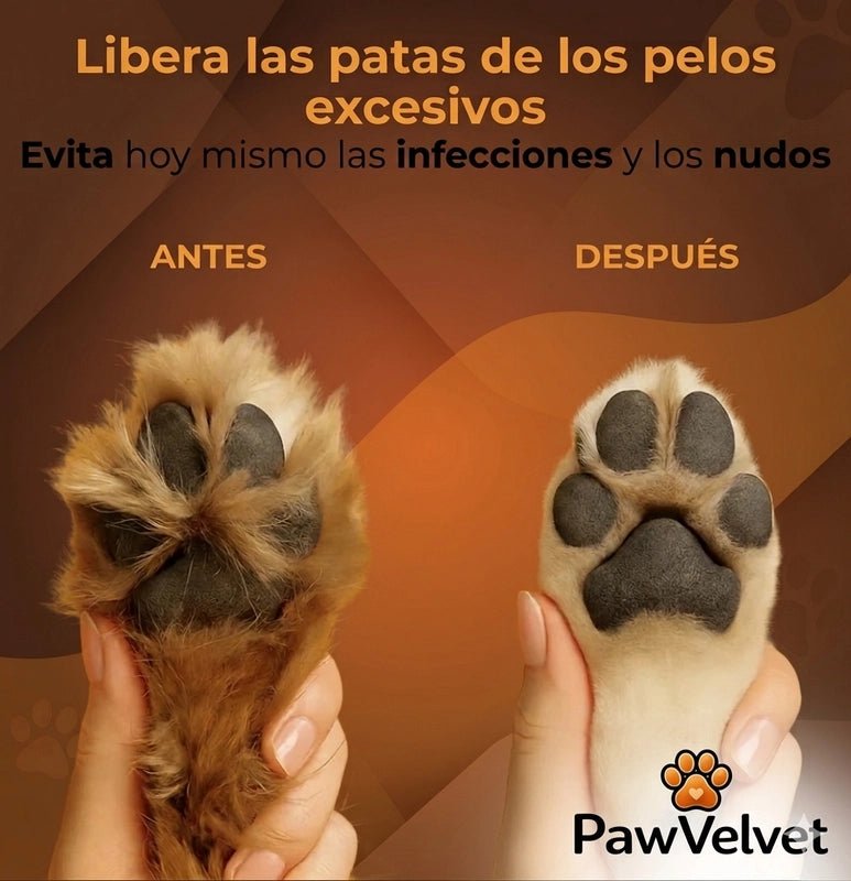 Cabezal de corte 18 mm + Peine guia - PawVelvet